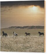 Eastern Montana Horses Wood Print