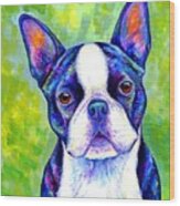 Effervescent - Colorful Boston Terrier Dog Wood Print