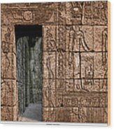 Egyptian Apparition Wood Print