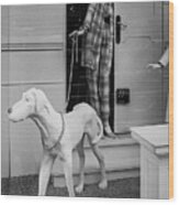 Elegant Mannequin With Greyhound, London Knightsbridge 1980 Wood Print