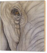 Elephant Eye Wood Print