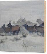 Elk Migration, 2019 Wood Print