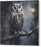 Elusive Owl Wood Print