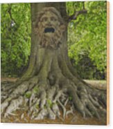 Ema Tree Face Wood Print