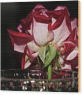 Embossed Rose In A Vase Wood Print