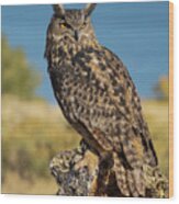 Eurasian Eagle Owl At Lake Wood Print