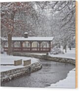 Allen Creek Winterscape At Lake Leota Park In Evansville Wisconsin Wood Print