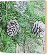 Evergreen fir tree branch and white pine cones closeup on woode iPhone 12  Pro Max Case by Liss Art Studio - Pixels