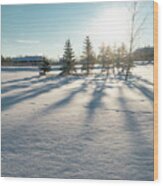 Evergreen Shadows On Snow Wood Print
