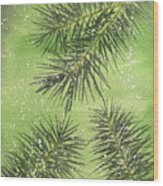 Evergreen Trio Wood Print