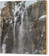 Extreme Competition Skier - Snowbird, Utah - Img_9912e Wood Print