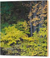 Fall Chartreuse Wood Print