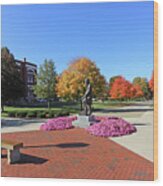 Fall Color Ohio Northern University 4800 Wood Print