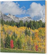 Fall Color, Rocky Mountains, Bc, Canada Wood Print
