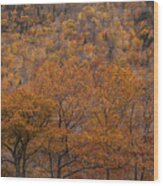 Fall Colors Along North Mountain Wood Print