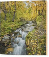 Fall Colors At Mcgee Creek Wood Print