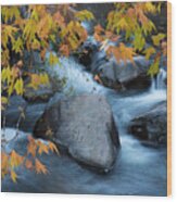 Fall Colors At Slide Rock Arizona Wood Print