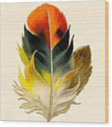 Fall Feather Wood Print