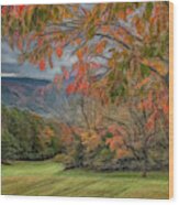 Fall In The Cove, Stylized Wood Print