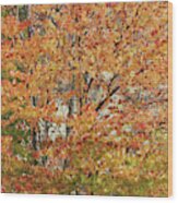 Fall Leaves In The Trees Wood Print