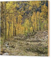 Fall Mountain Road Wood Print