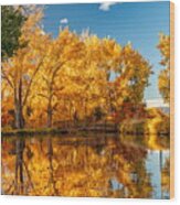 Fall Reflections In Colorado Wood Print