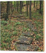 Fall Stone Pathway Wood Print