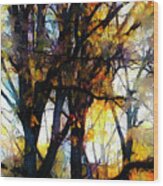 Fall Trees Wood Print