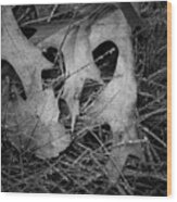 Fallen Leaves And Dew Drops Bw Wood Print
