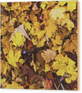 Fallen Leaves Wood Print