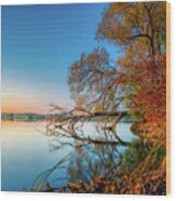 Fallen Tree Reflection Wood Print