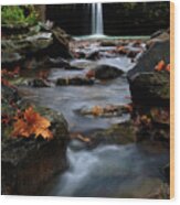 Falling Water Falls In Autumn - Ozarks Wood Print