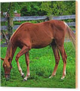 Farm Horse In Northeast Tennessee Wood Print