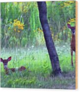 Fawns Waking Up Wood Print