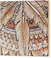 Feather Shawl Wood Print