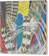 Feathers Colorful Hand Drawn Colored Pencil Drawing Of Bird Plumage Wood Print