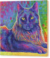 Psychedelic Rainbow Black Cat - Felix Wood Print
