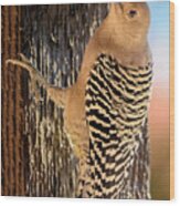 Female Gila Woodpecker 220930 Wood Print