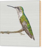 Female Hummingbird Portrait Wood Print