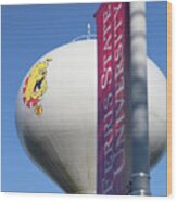 Ferris State University Water Tower And Banner Wood Print