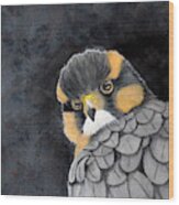 Fierce Little Falcon Watercolor Wood Print