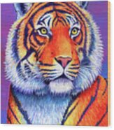 Fiery Beauty - Colorful Bengal Tiger Wood Print
