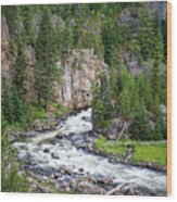 Firehole River And Canyon Wood Print