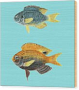Fish Decor Wood Print