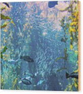 Fish In The Kelp Forest Wood Print