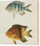 Fish Wood Print