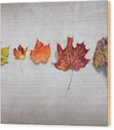 Five Autumn Leaves Wood Print