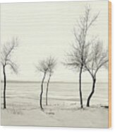 Five Lone Trees - Caseville, Michigan Usa - Wood Print