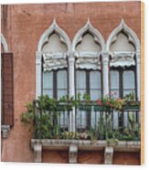 Five Windows Of Venice Wood Print