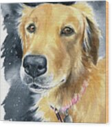 Fleece Dog Portrait Wood Print